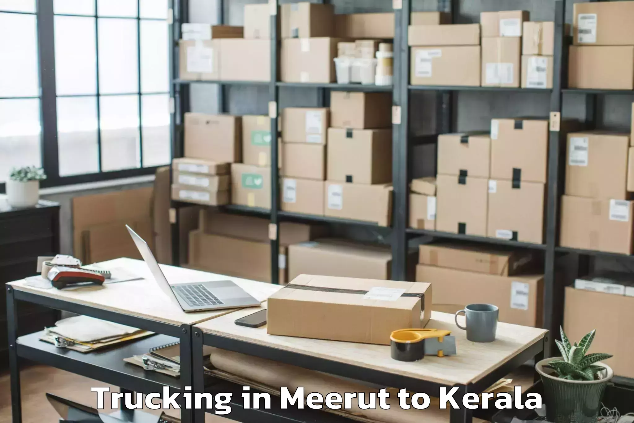 Trusted Meerut to Cherpulassery Trucking